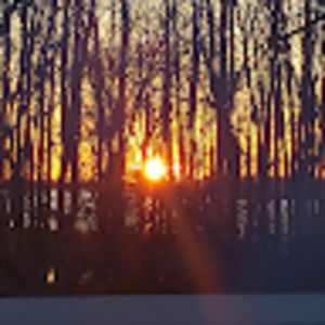 Meet your Posher, Staci